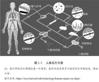 8種人體器官芯片，讓你看到一場看不見的技術(shù)革命