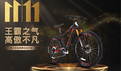 全球頂尖自行車品牌FRW輻輪王引領(lǐng)京東雙11高端運動戶外品類