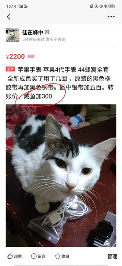 男子網(wǎng)購二手Apple Watch，竟收到4個(gè)蘋果1塊普通表