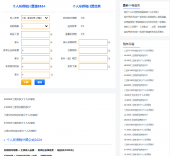 個(gè)人所得稅計(jì)算器